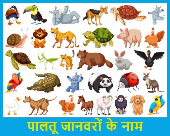 पालतू जानवरों के नाम - Domestic Animals Name in Hindi in English