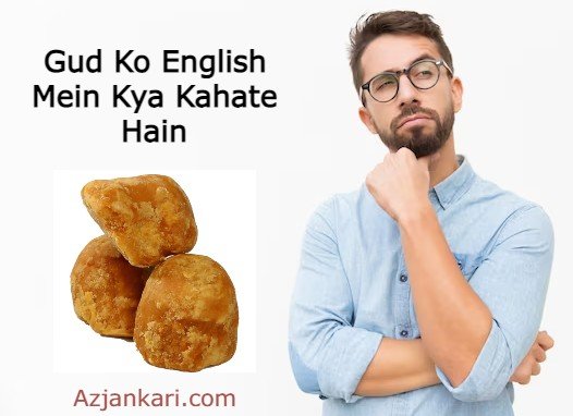 Gud Ko English Mein Kya Kahate Hain (गुड़ को इंग्लिश में क्या कहते है?)