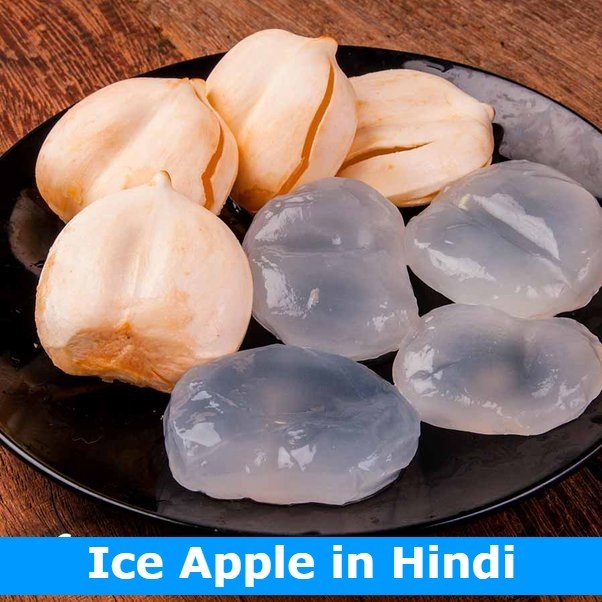 Ice Apple in Hindi | ताड़गोला फल के फायदे, नुकसान एवं अन्य जानकारी