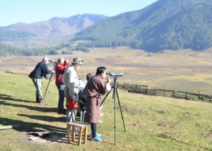 5 Remarkable Places to Visit For Birdwatching In Bhutan