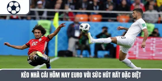 Euro Betting Odds Today – The Secret to Winning Big