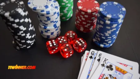 Comprehensive Review of 11winner in India Today (2)