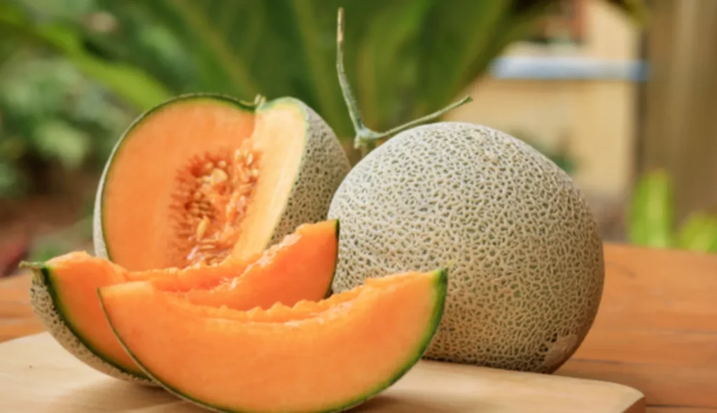 Hydration Hero Why Muskmelon Should Be Your Go-To Summer Fruit